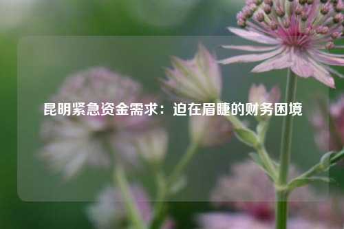 昆明本地借钱急用钱空放：为您提供便捷的借款咨询服务